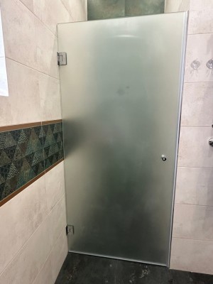 Drzwi prysznicowe Vega