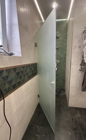 Drzwi prysznicowe Vega